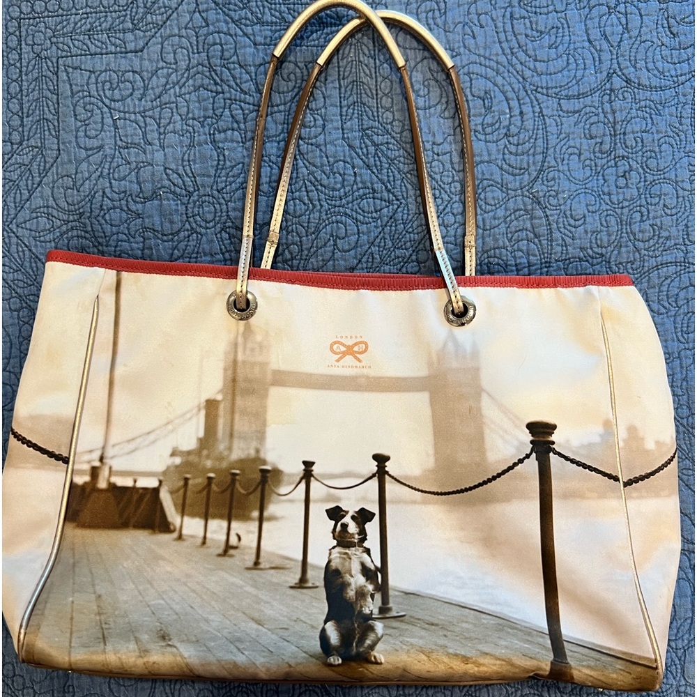Anya Hindmarch graphic dog bag